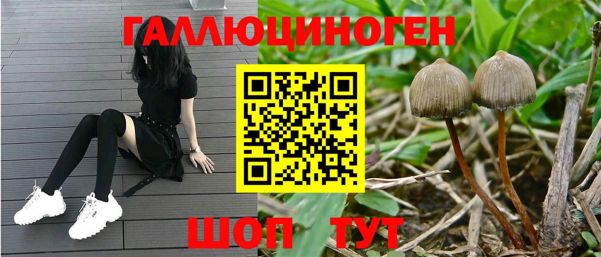 Псилоцибиновые грибы MAGIC MUSHROOMS Всеволожск