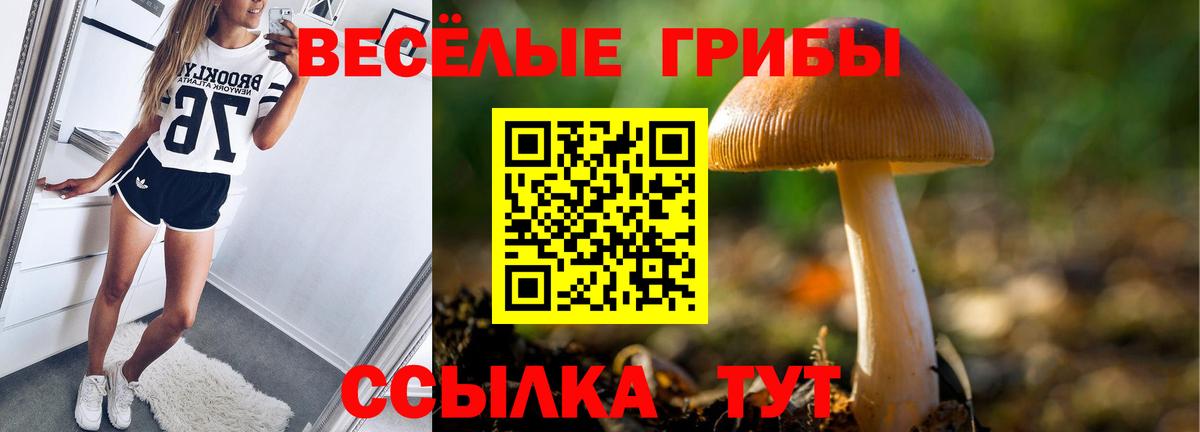 Всеволожск  Псилоцибиновые грибы Magic Shrooms  Вход с VPN 